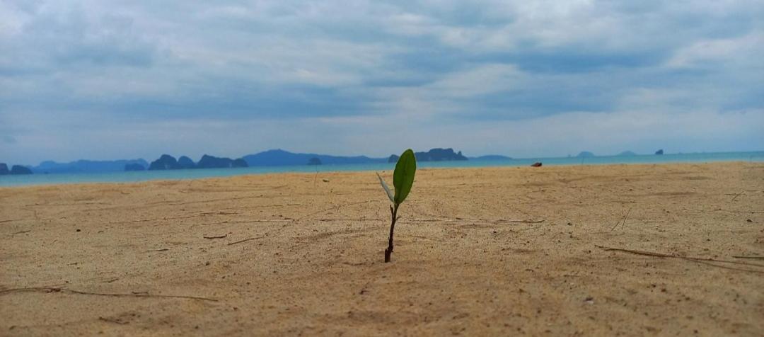 Koh Yao Noi Beach Resort Dış mekan fotoğraf